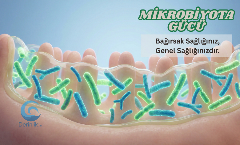 🔬 Sağlıklı Yaşamın Anahtarı: Bağırsak Mikrobiyotası Düzenleme Rehberi