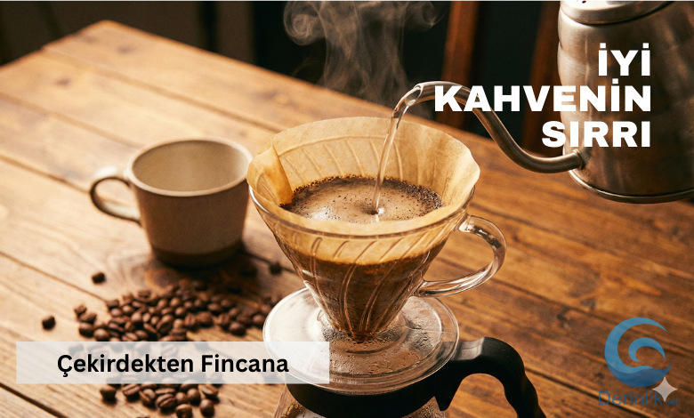 Kahve Kültürü: Çekirdekten Fincana 3. Dalga Kahve Rehberi