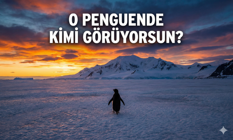 Buzullardan Yansıyan Ayna: Yalnız Yürüyen Penguen ve Onda Gördüğümüz Gerçek